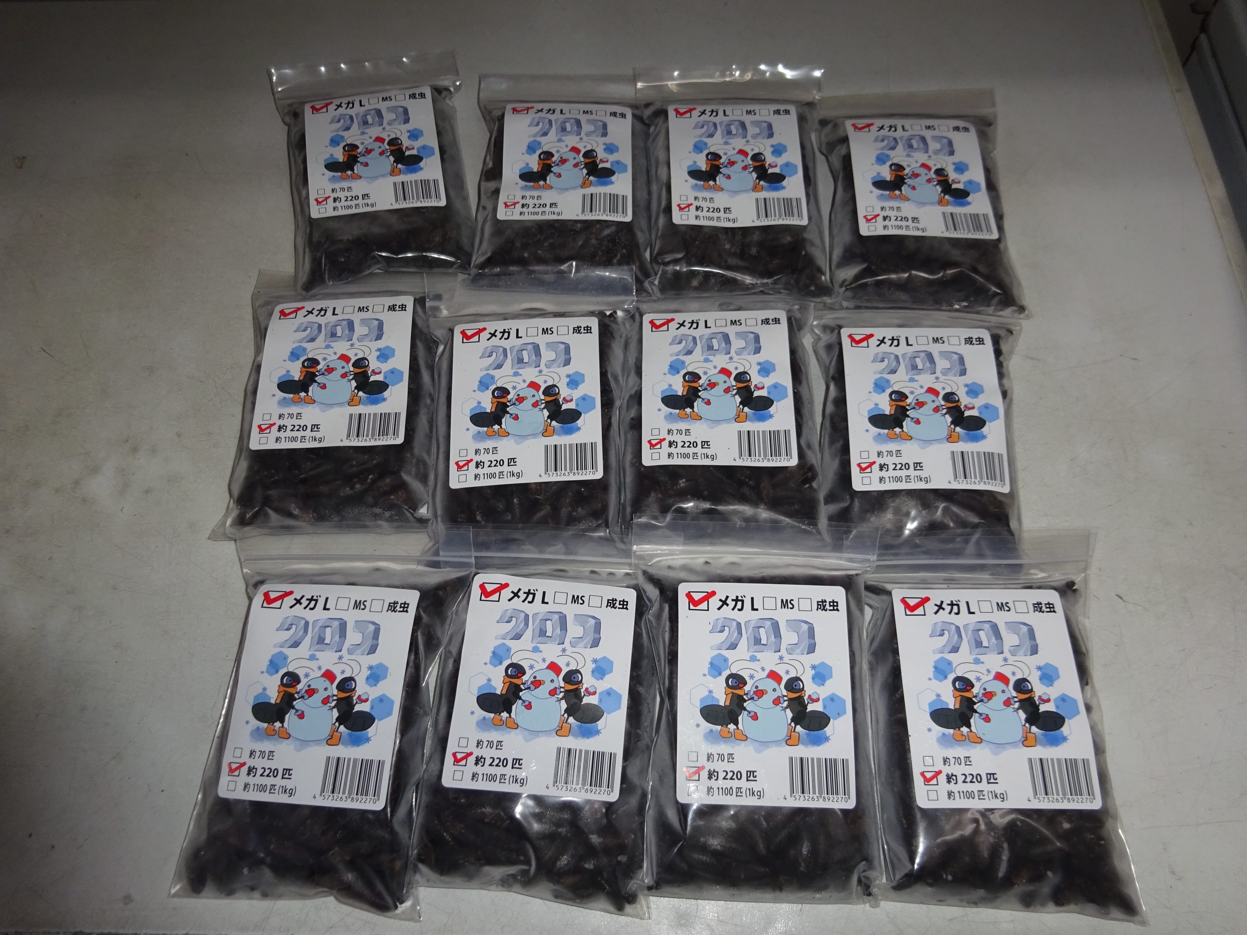 冷凍コオロギ　入荷